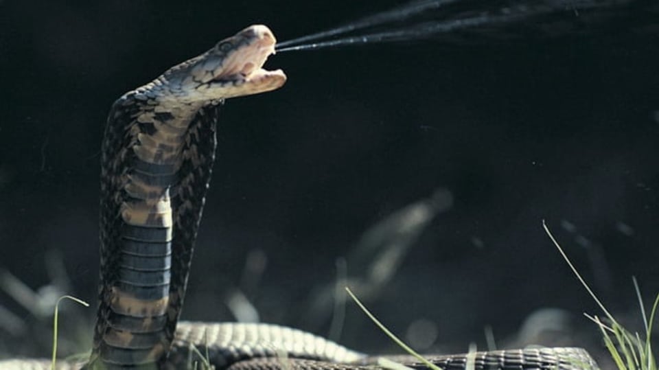 FOTO: Thinkstock